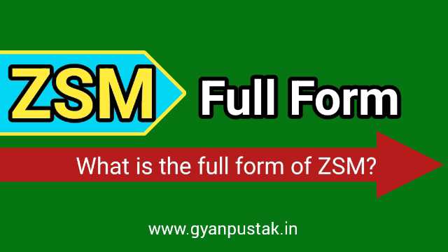 ZSM full form